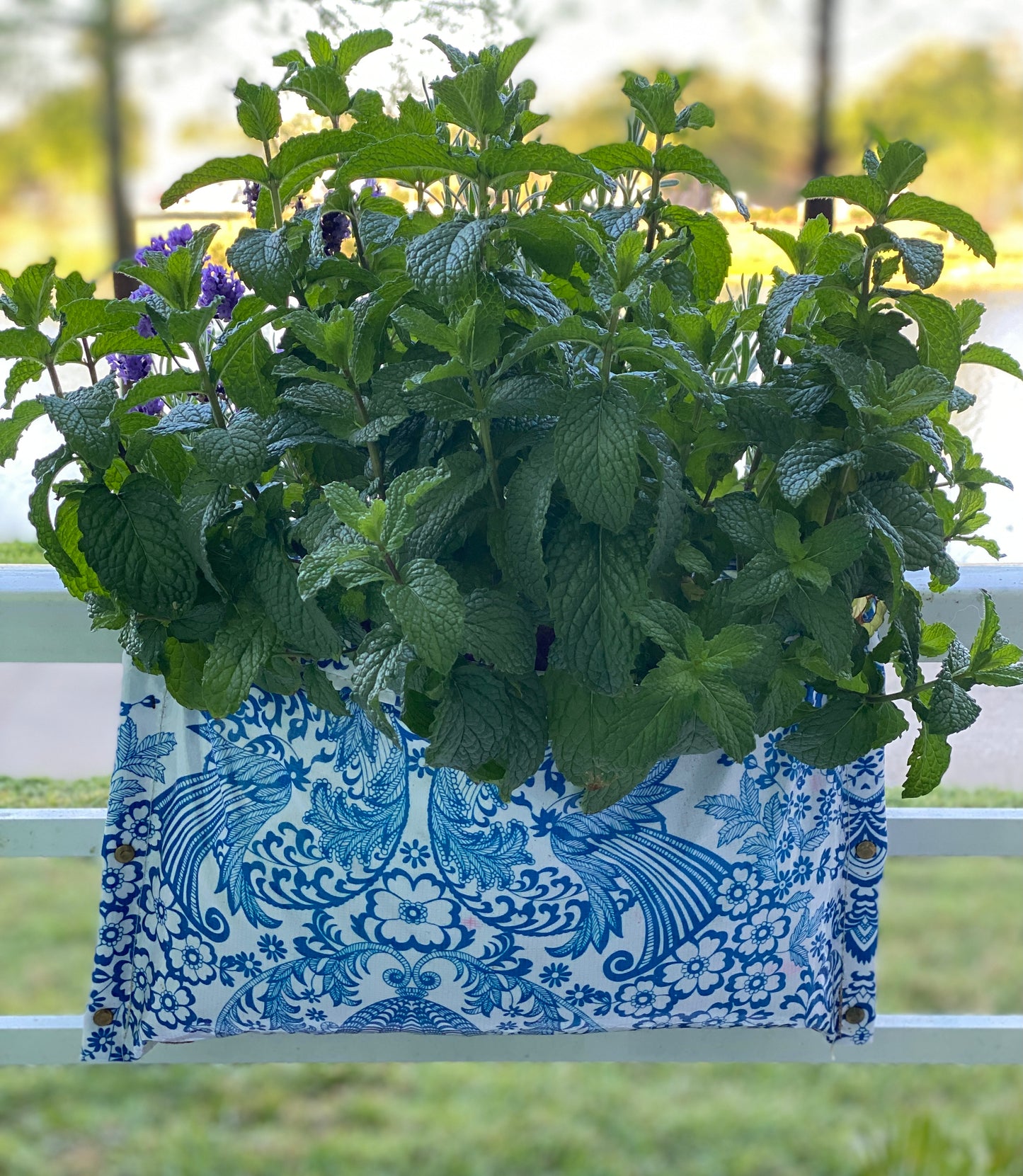 Blue Floral Pocket Bloomers® Railing Planters