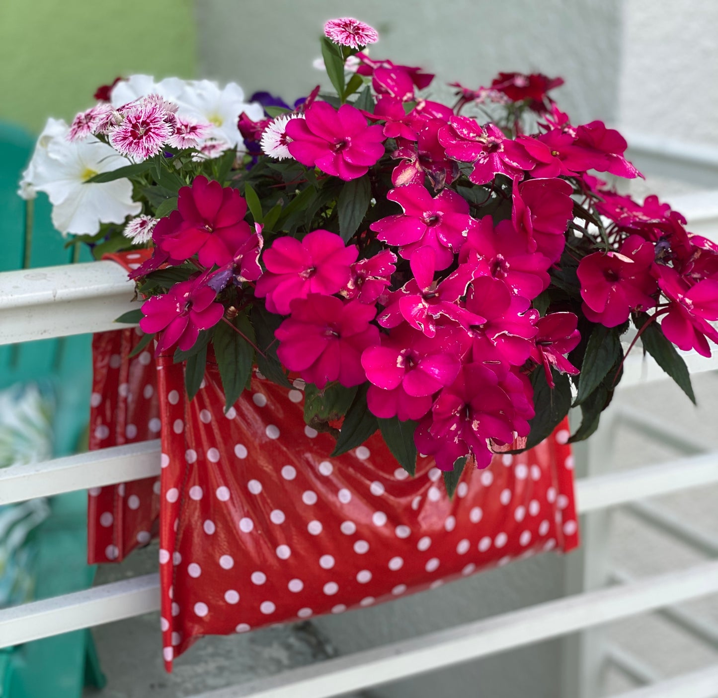 Red White Dots Pocket Bloomers® Railing Planters