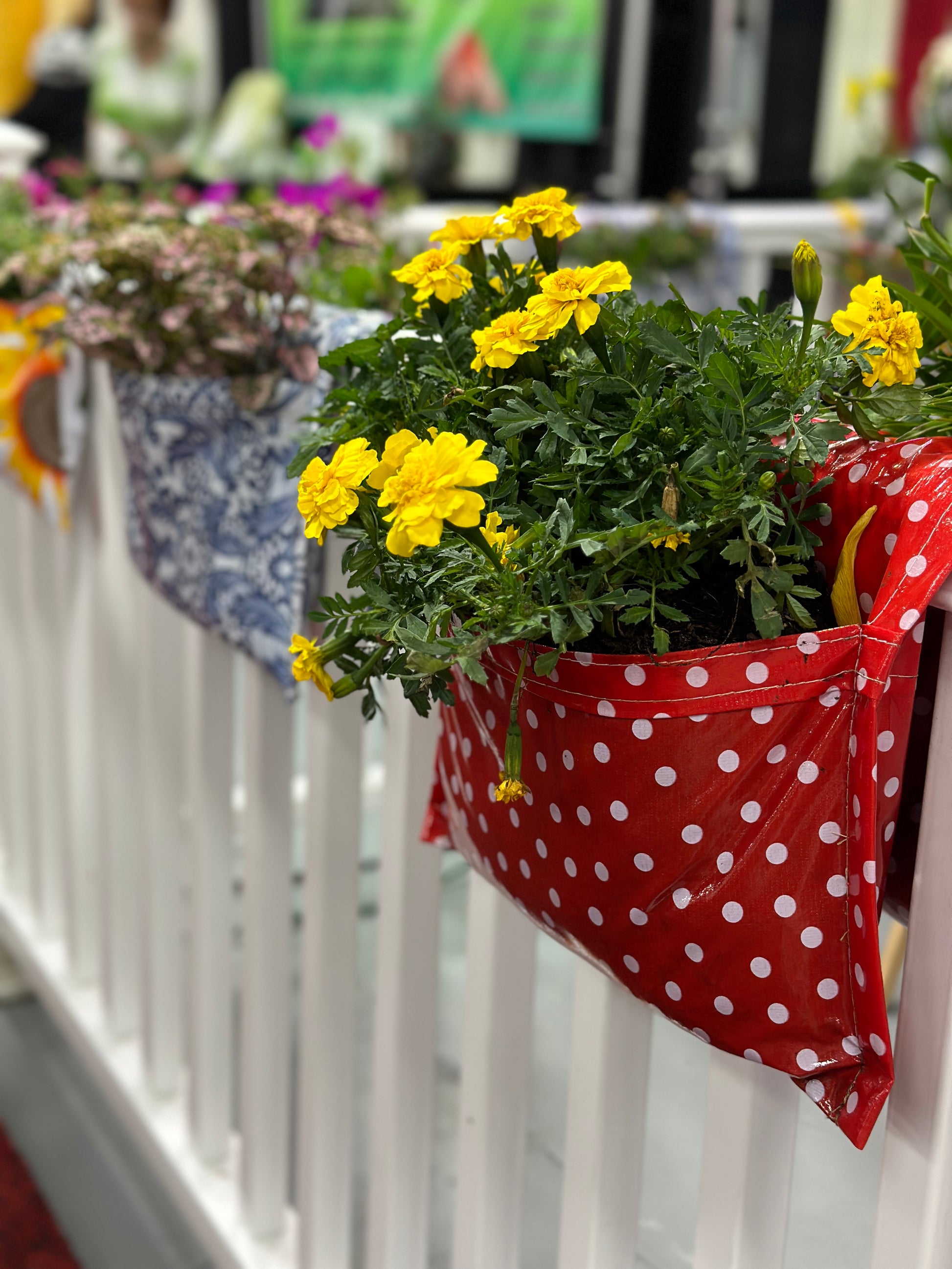 White with Small Red and Blue Stars Pocket Bloomers® Railing Planters